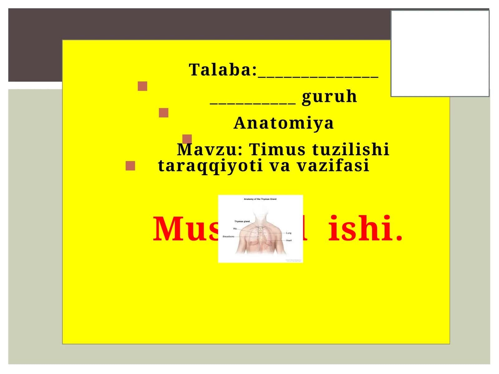 Talaba: Anatomiya 1