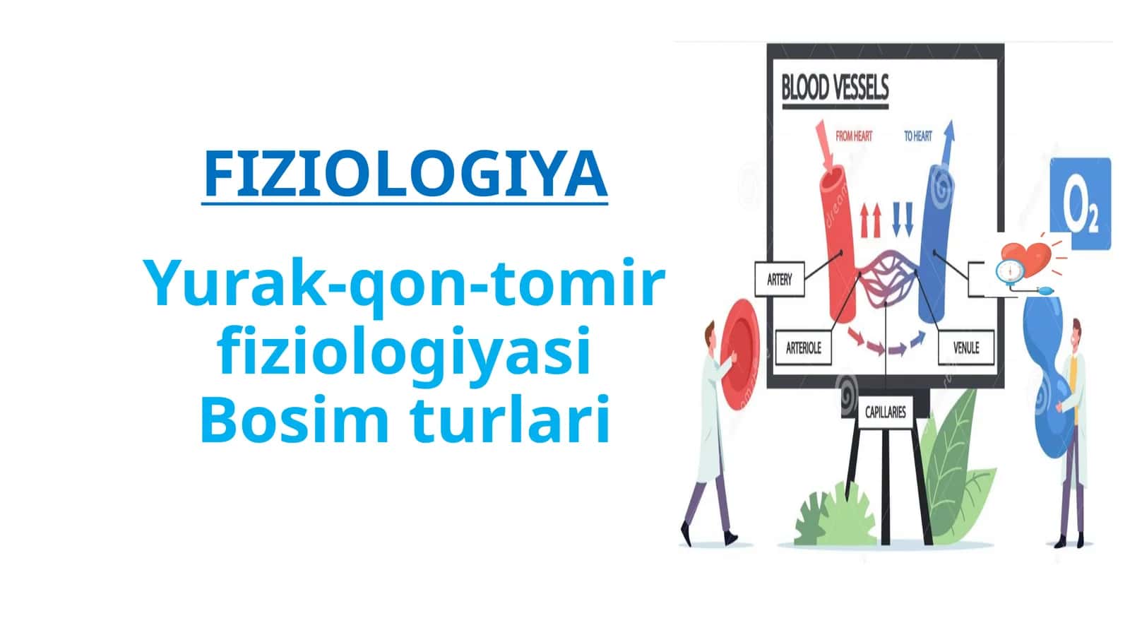 Yurak-qon-tomirfiziologiyasi Bosimturlari 1