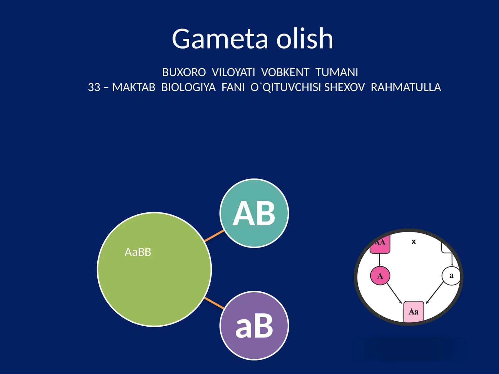 Gameta olish 1