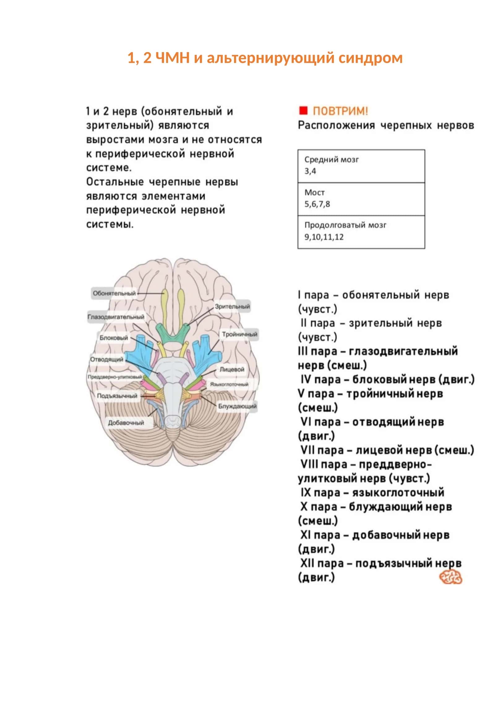 ЧМН и альтернирующий синдром 1