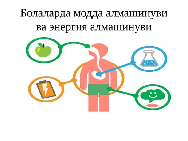 Болаларда модда алмашинуви ва энергия алмашинуви 1