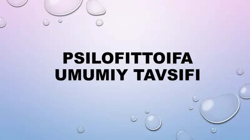 Psilofittoifa umumiy tavsifi 1