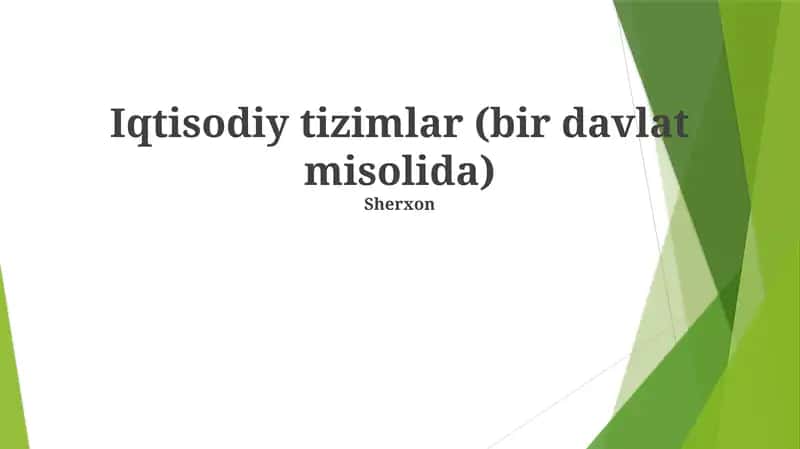 Iqtisodiy tizimlar (bir davlat misolida) 1