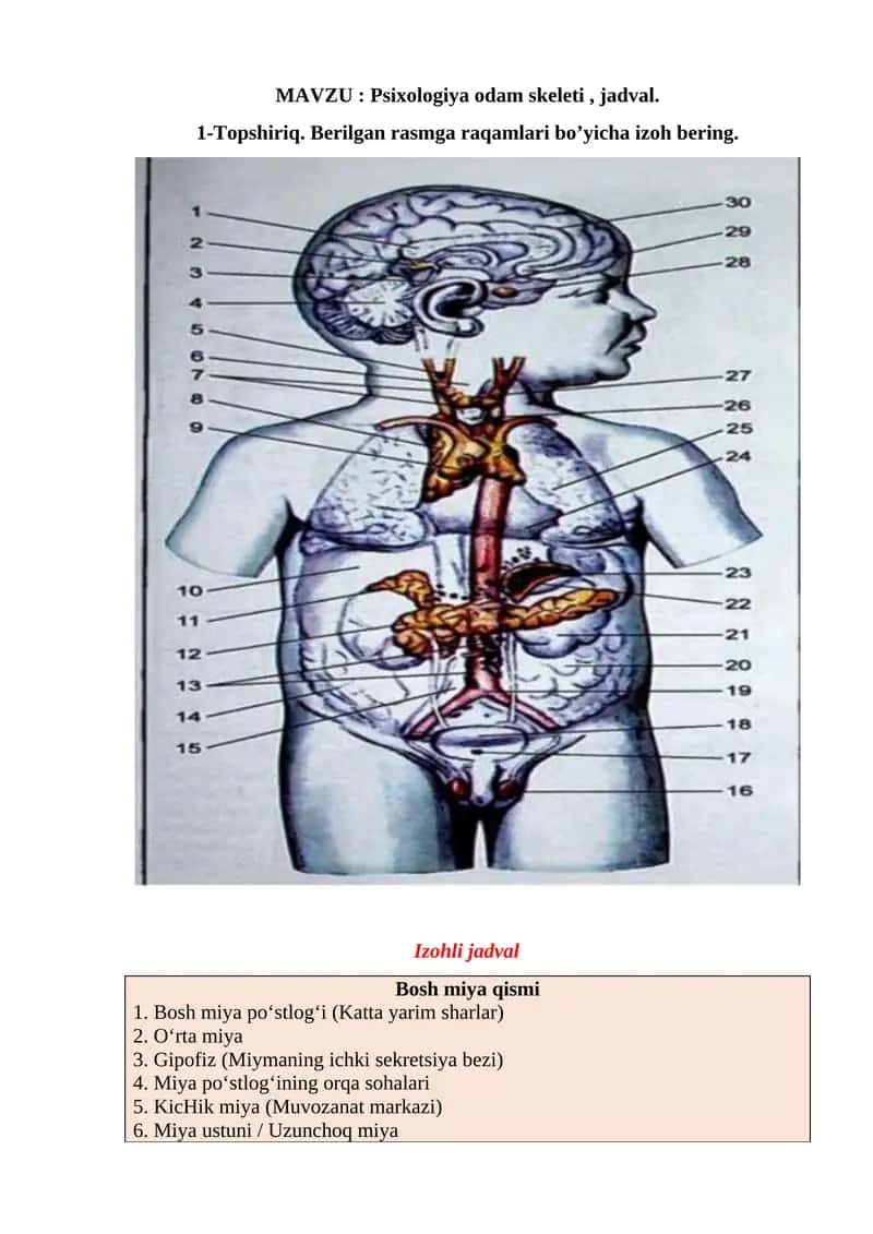 Psixologiya odam skeleti , jadval. 1