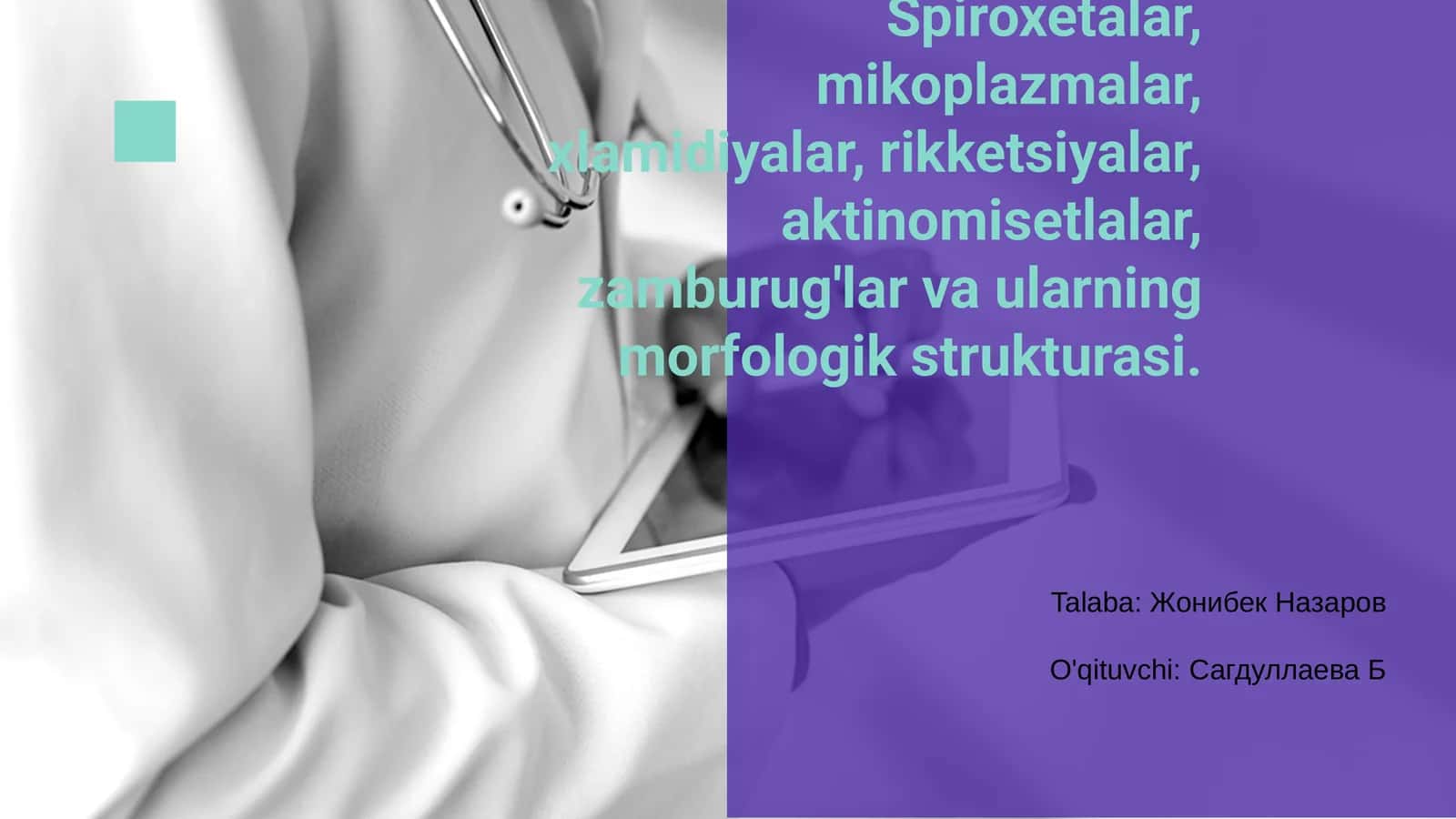 Spiroxetalar 1