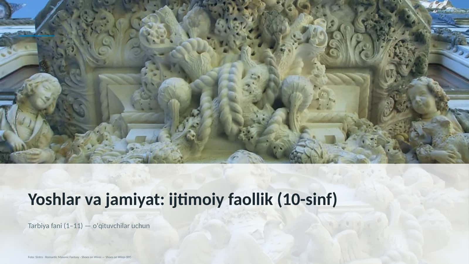 Yoshlar va jamiyat: ijtimoiy faollik (10-sinf) 1