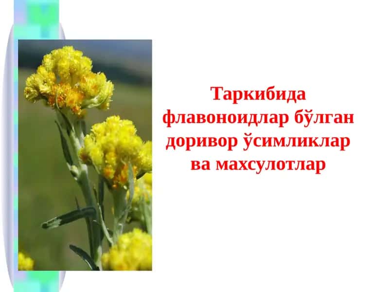 Флавоноидлар ва уларнинг физик-кимёвий хоссалари 1