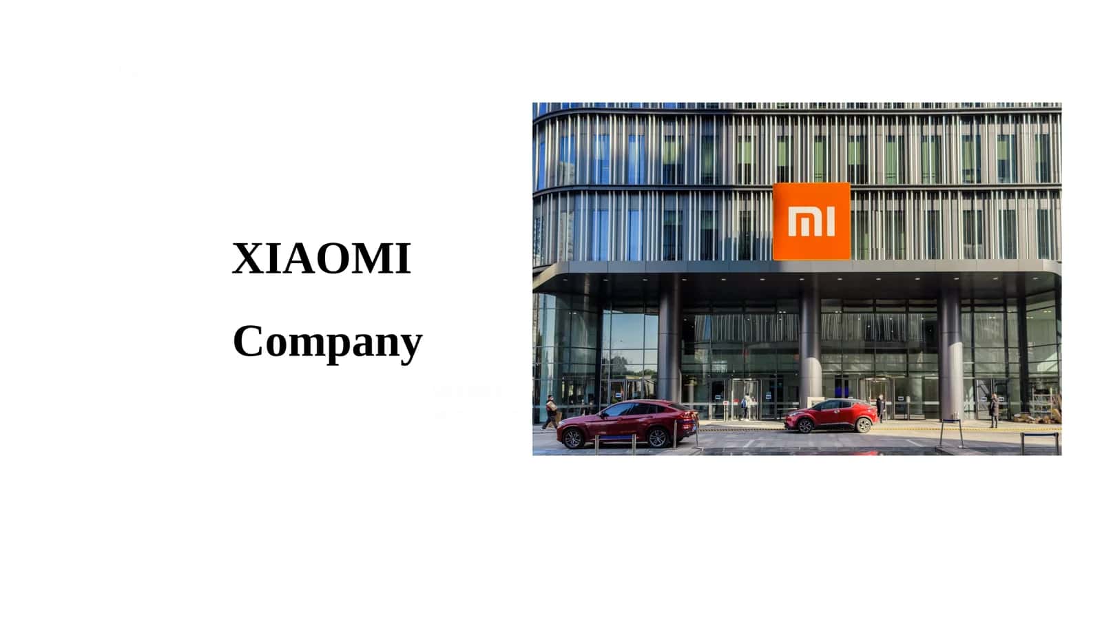 XIAOMI Company 1