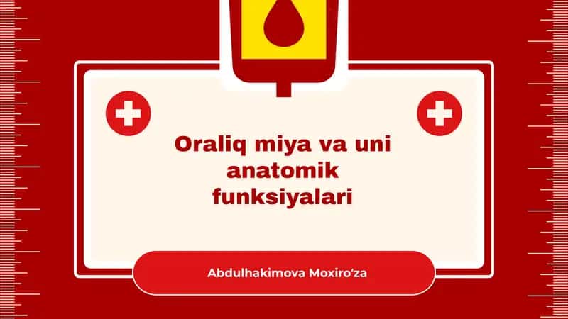 Oraliq miya va uni anatomik funksiyalari 1
