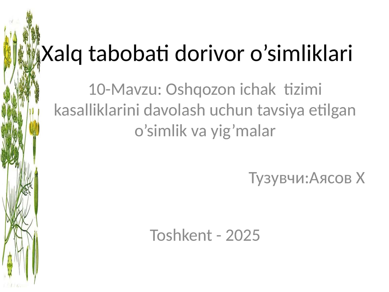 Xalq tabobati dorivor o’simliklari 1