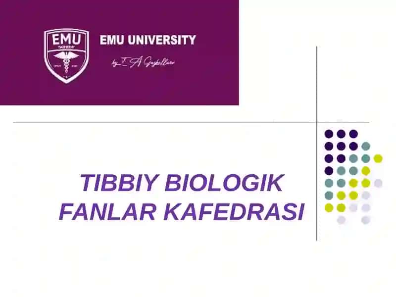 Anatomiya Haqida brikmalar