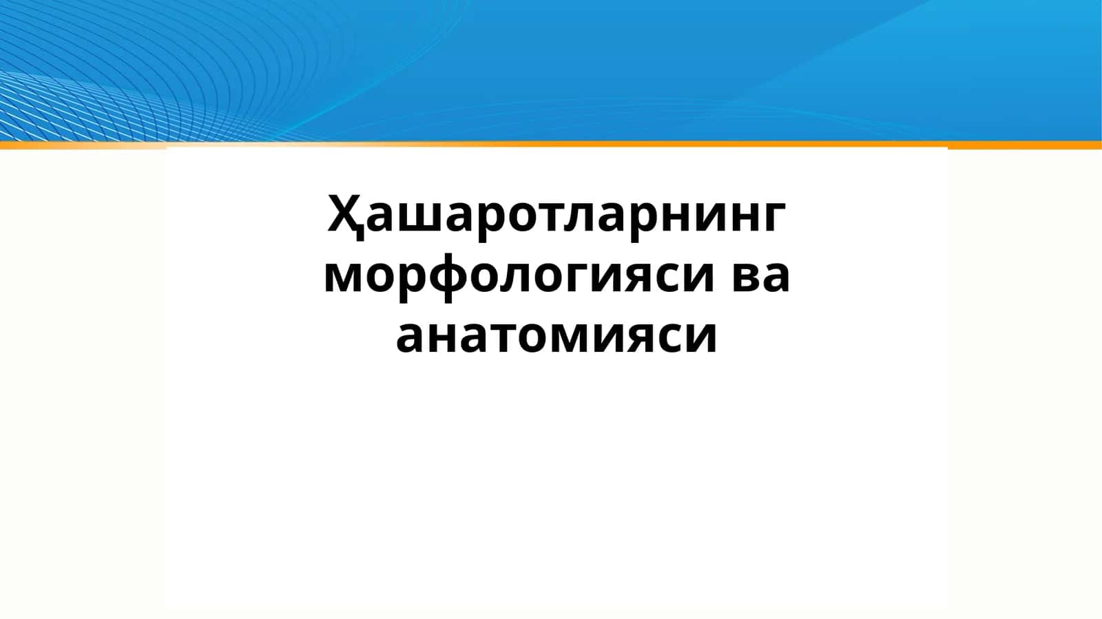 Ҳашаротларнинг морфологияси ва анатомияси 1