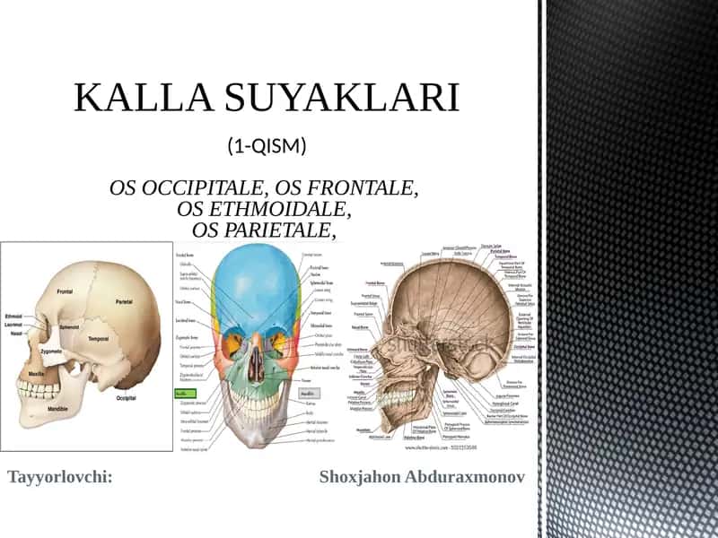 KALLA SUYAKLARI(1-QISM)OS OCCIPITALE,OSFRONTALE,OSETHMOIDALE,OS PARIETALE 1