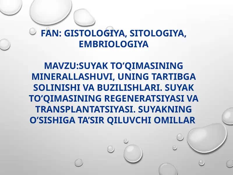 Suyak to'qimasining tuzilishi va vazifalari 1