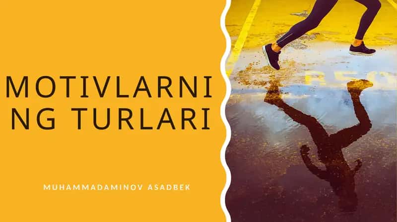 Motivlarning turlari 1