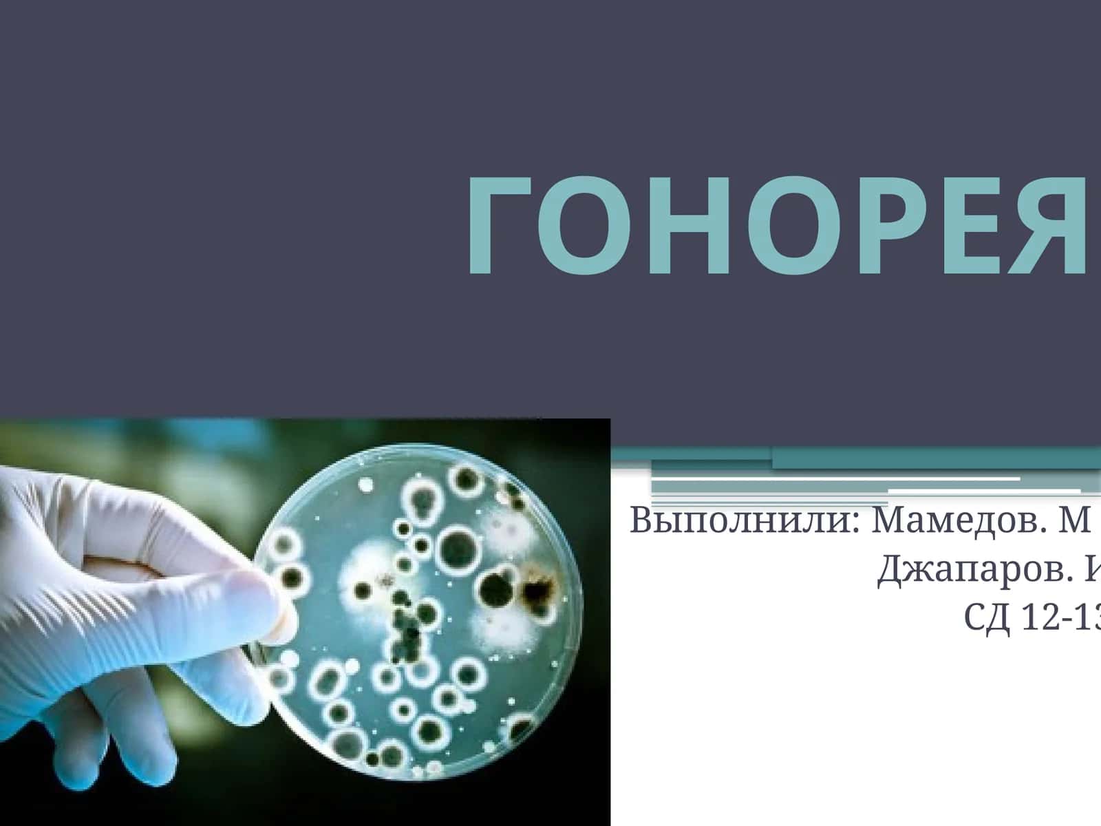 ГОНОРЕЯ 1