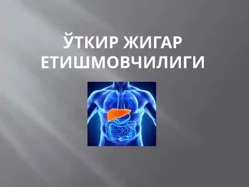 Жигар организмга қатнашган асосий жараёнлар