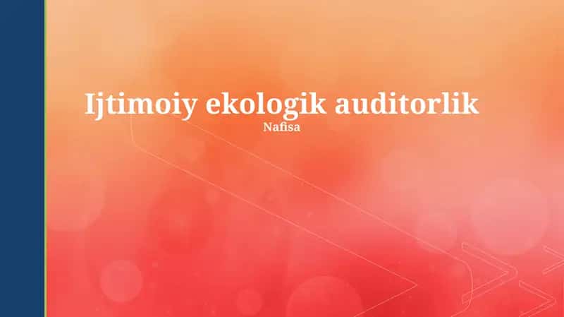Ijtimoiy ekologik auditorlik 1