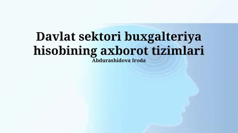 Davlat sektorida buxgalteriya hisobi axborot tizimlari 1