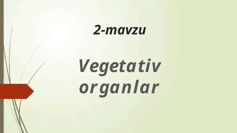 Vegetativ organlar 1