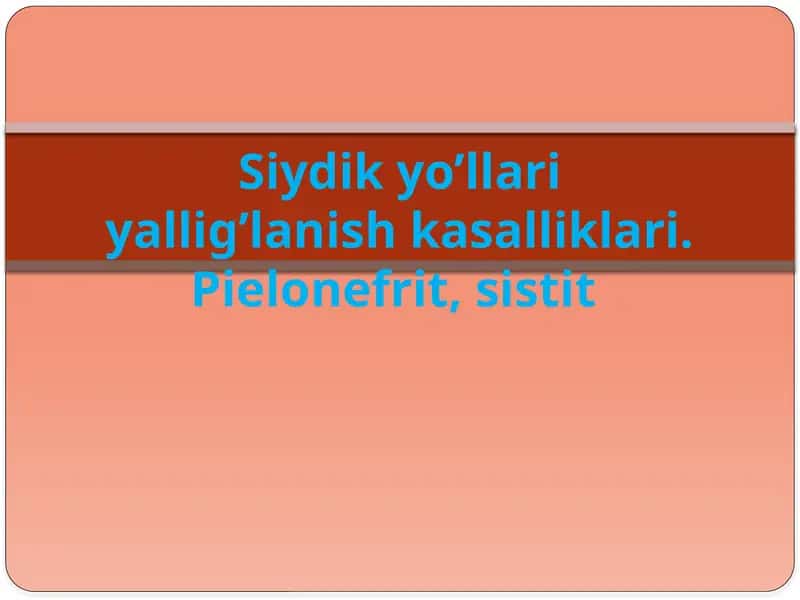 Pielonefrit 1