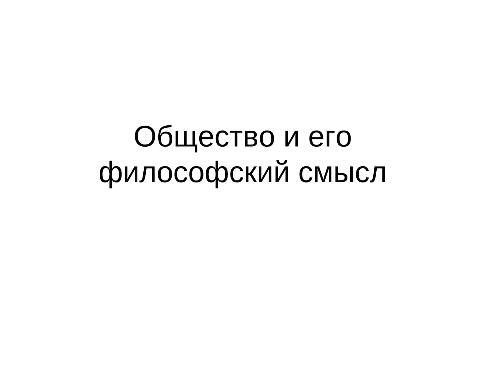 Общество и его философский смысл 1