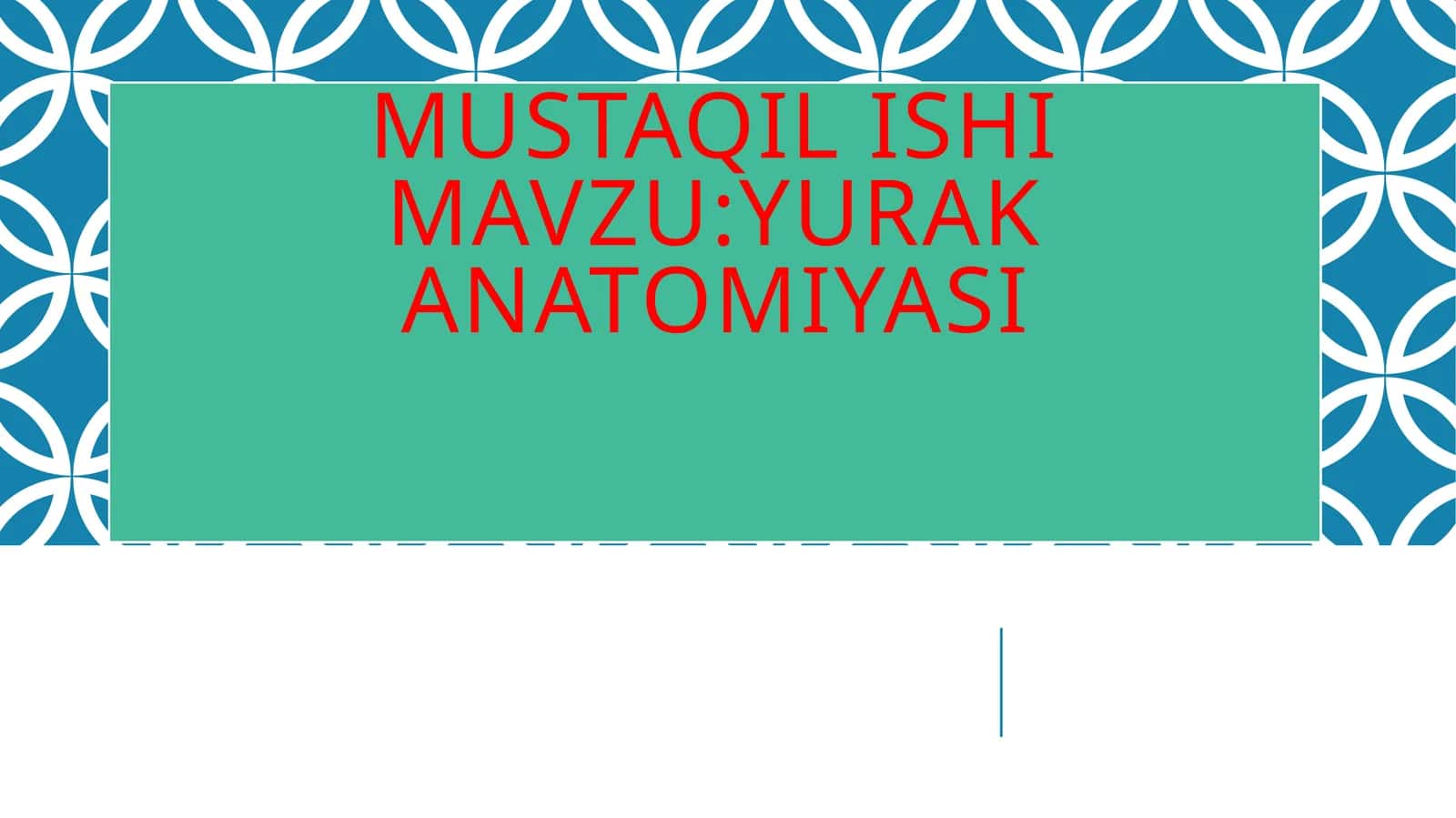 Yurak Anatomiyasi 1