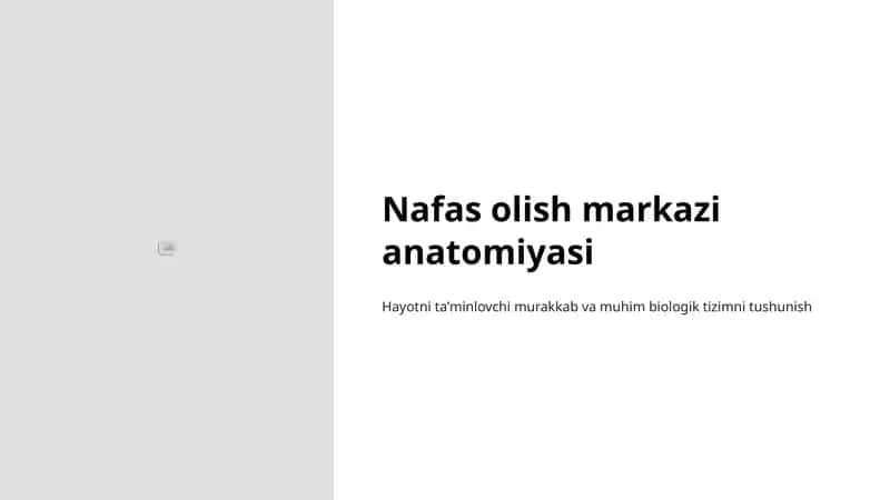 Nafas olish markazi anatomiyasi 1