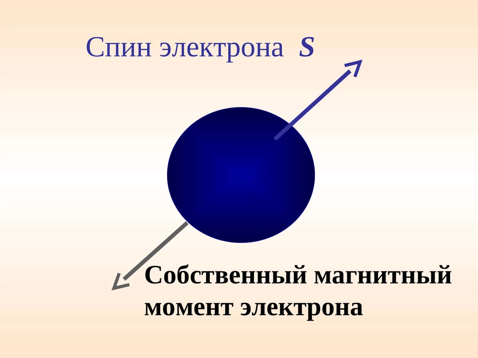 Спин электрона 1