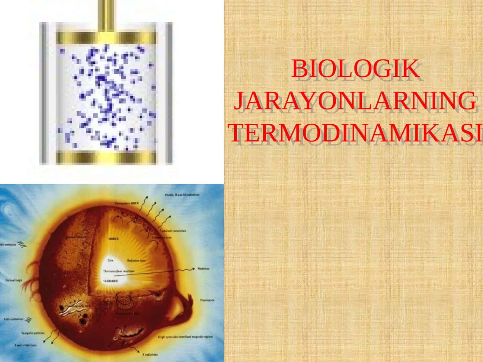 BIOLOGIK JARAYONLARNING TERMODINAMIKASI 1