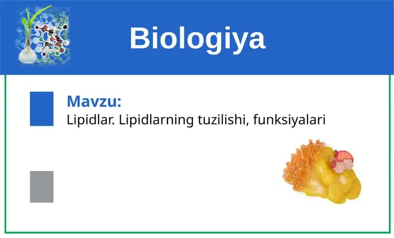 Lipidlar 1