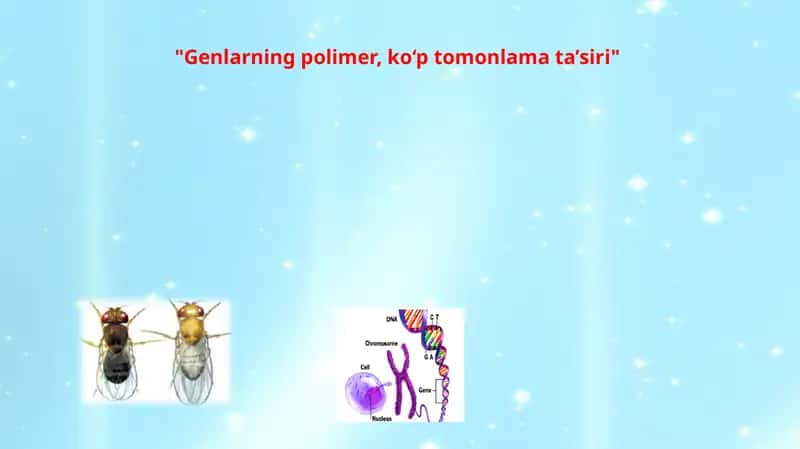 Genlarning polimeter ta'siri 1