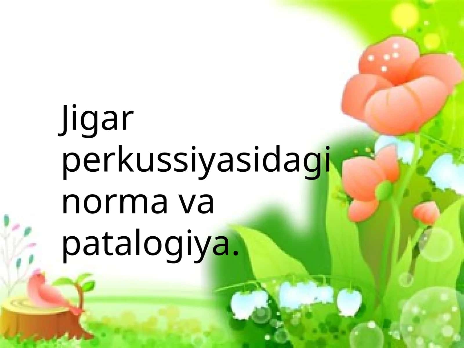 Jigar perkussiyasidagi norma va patalogiya 1