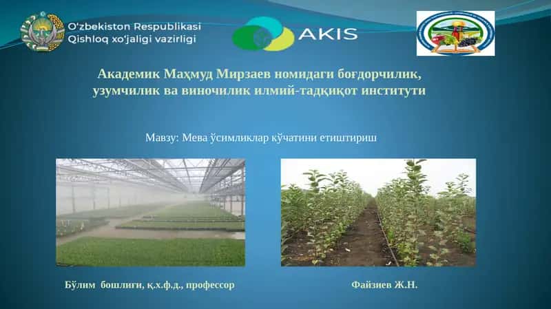 Мева ўсимликлар кўчатини етиштириш 1