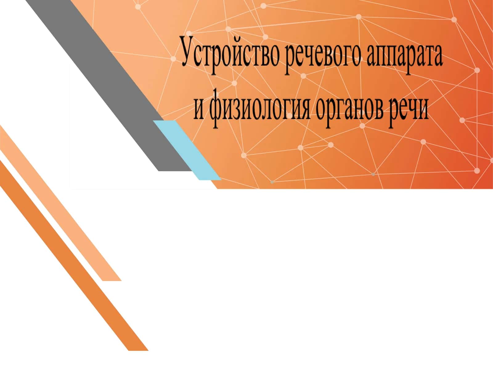 устройство речевого аппарата 1