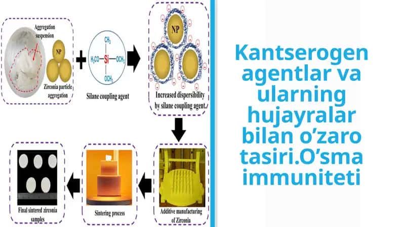 Kantserogen agentlar va ularning hujayralar bilan o’zaro tasiri 1