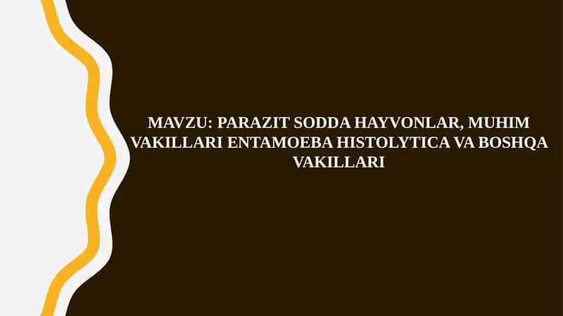 Parazit Sodda Hayvonlar va Muhim Vakillari Entamoeba Histolytica 1