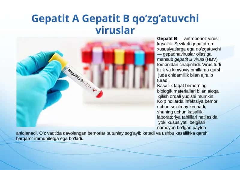 Gepatit A Gepatit B qo’zg’atuvchi viruslar 1