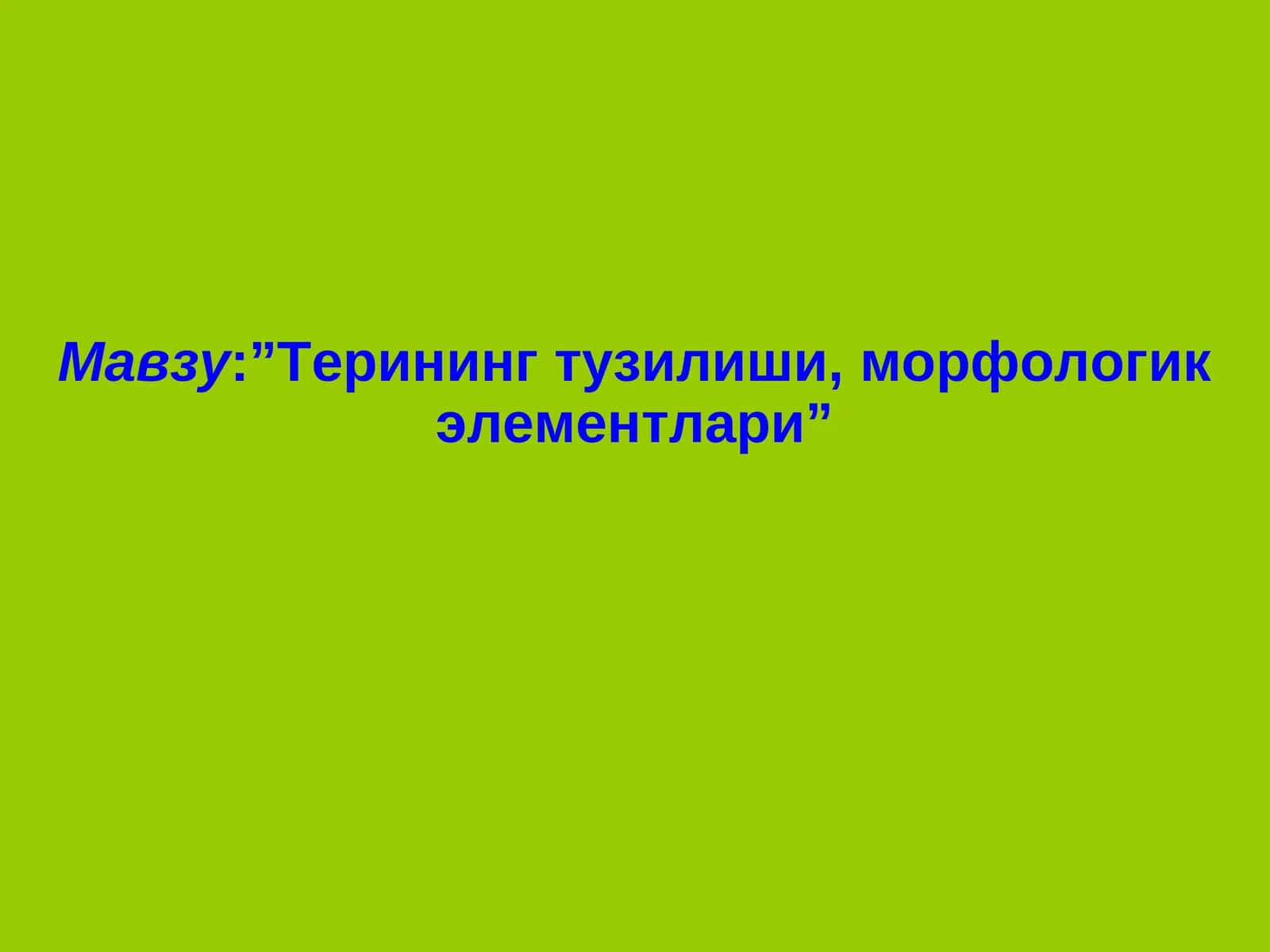Терининг тузилиши, морфологик элементлари 1
