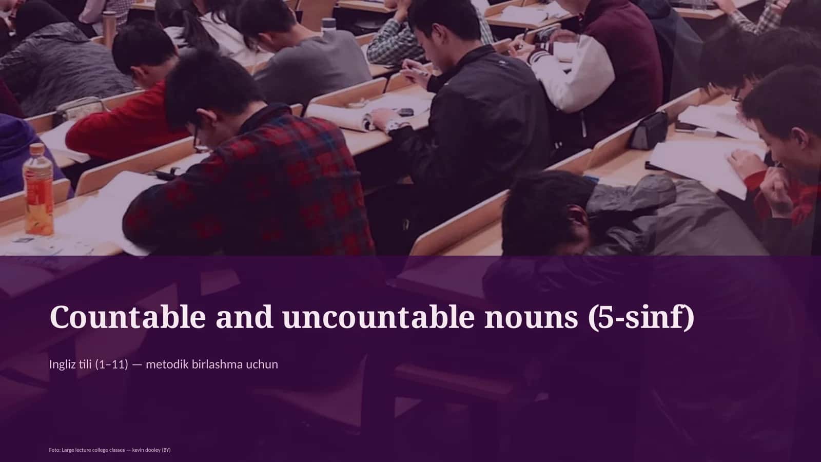 Countable and uncountable nouns (5-sinf) 1