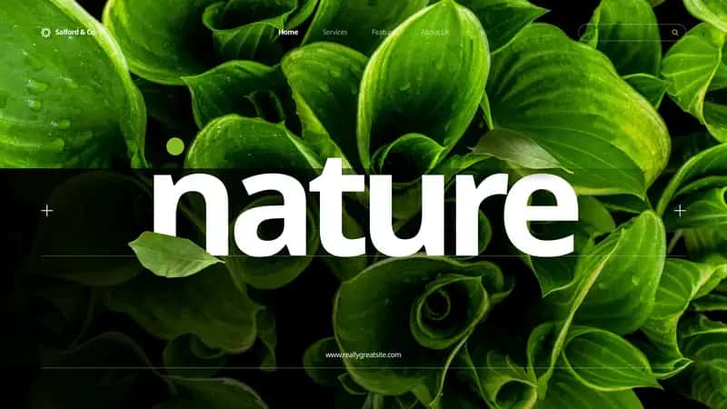 Nature 1