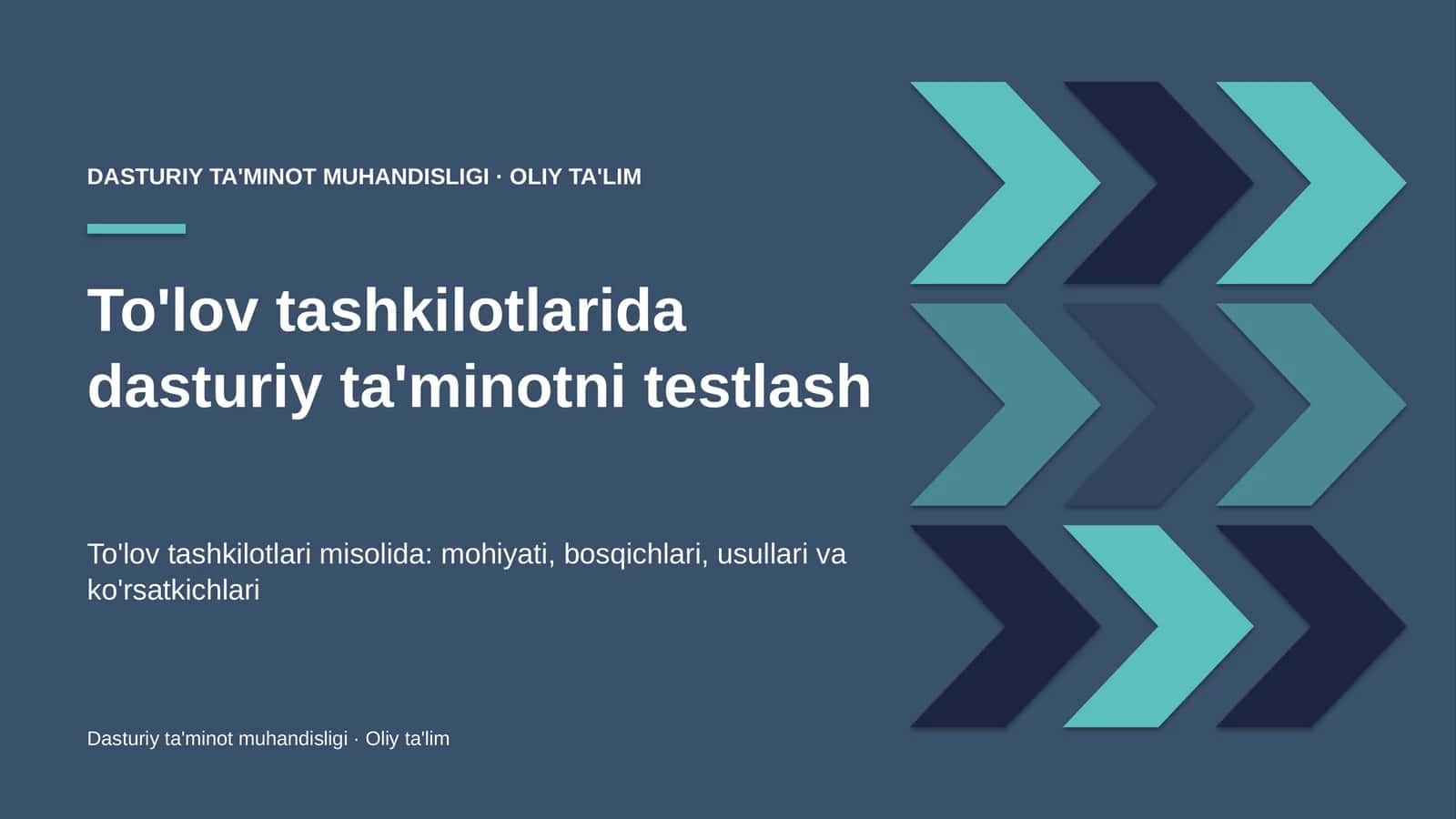 to'lov tashkilotlarida dasturiy ta'minotni testlash 5556 1