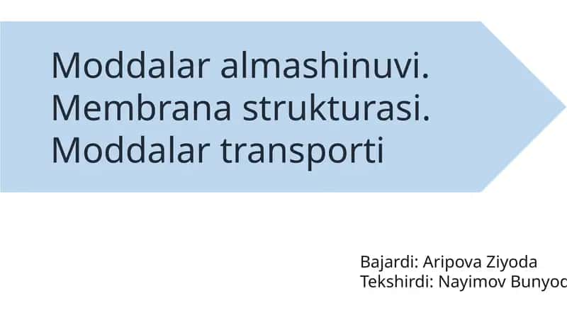 Moddalaralmashinuvi 1