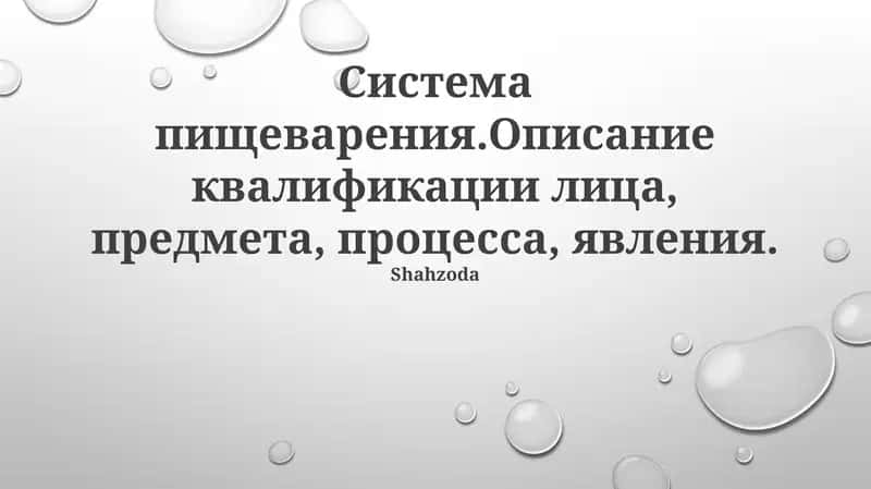 Система пищеварения 1