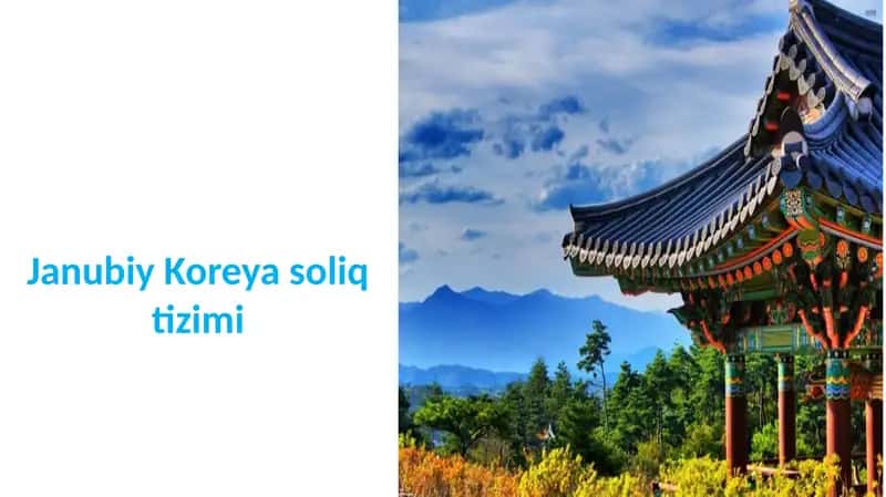 Janubiy Koreya soliq tizimi 1