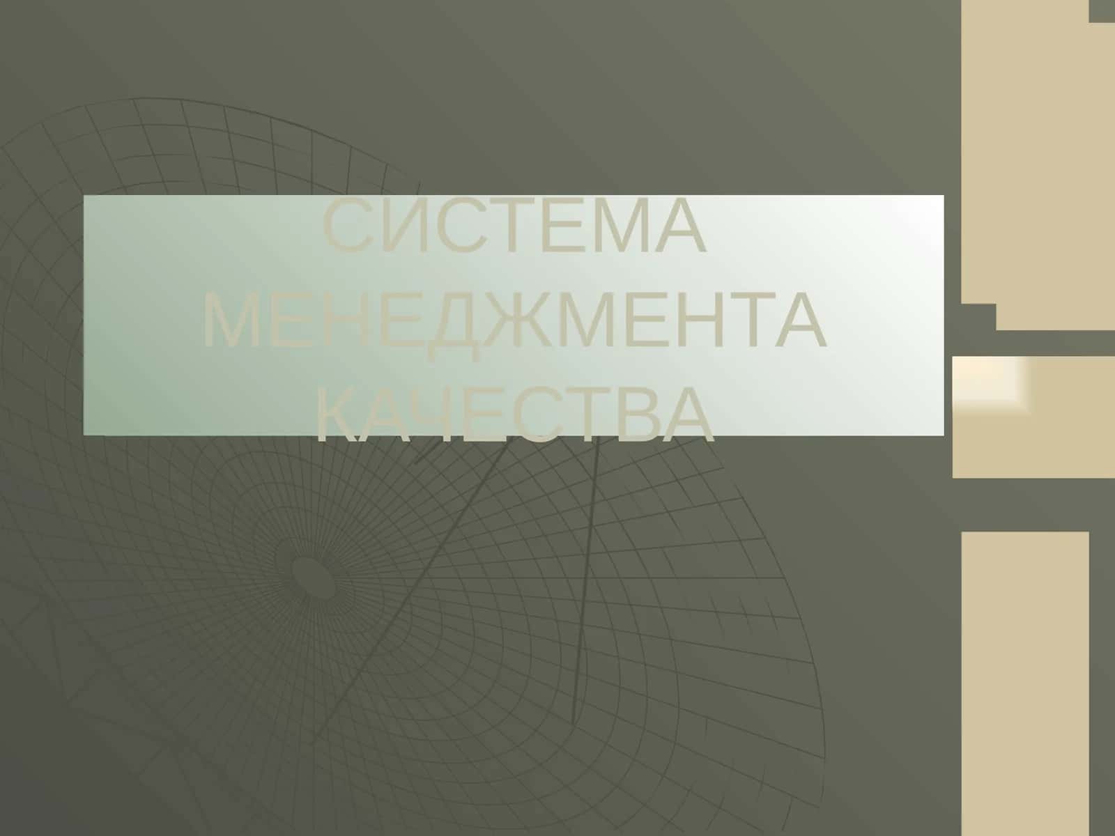 СИСТЕМА МЕНЕДЖМЕНТА КАЧЕСТВА 1