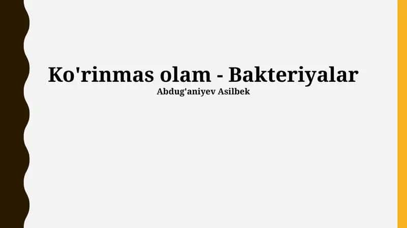 Ko'rinmas olam - Bakteriyalar 1