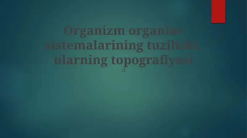 Organlararo munosabatlar tizimi 1