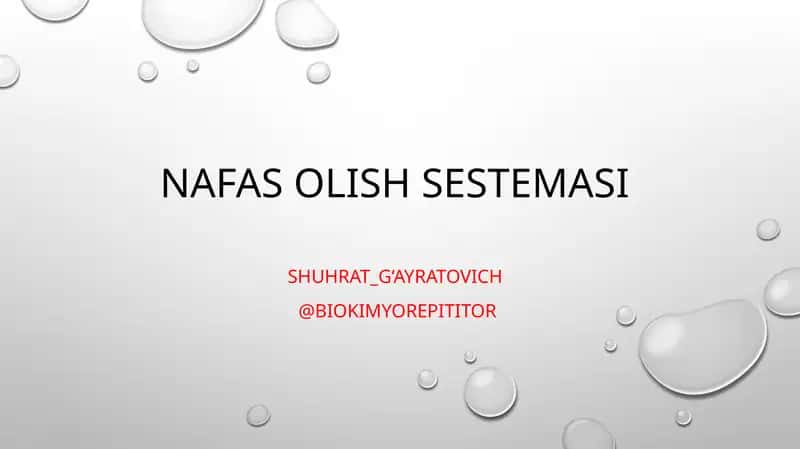 Nafas olish sestemasi 1