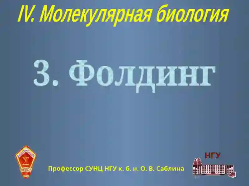Фолдинг